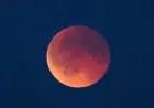 Lunar Eclipse to Be Visible From New York as Local Web Page Is Down Ahead of 'Blood Moon'