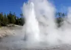 Echinus Geyser Erupts Again: U.S. Geological Survey Reports