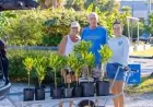 Captiva Island Sees Record-Breaking Mangrove Adoption Season