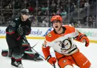 Ryan Poehling Emerges as Ducks’ Versatile Asset