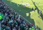 VfL Wolfsburg Fans Flock to Pre-Match Training Ahead of HSV Game