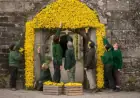 Tamar Valley Historic Home Blooms with Vibrant Yellow for Spring
