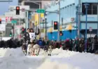 Iditarod Begins as Barking Dogs Enthrall Downtown Anchorage