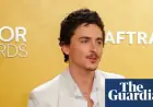 Timothée Chalamet Faces Backlash for Criticizing Opera and Ballet