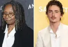 Timothee Chalamet Criticized on The View for Opera Comments