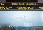 U.S. and TSX Stock Markets Rebound, Recover Early Losses