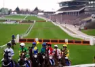 Cheltenham Weather: Ground Changed on Eve of Festival but Going May Be Quicker