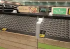 Panic Buying Supermarkets: Empty Aisles and the Human Cost of a Supply ‘Perfect Storm’
