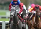 Racing Tv narrative flattens Cheltenham legacy in the No Drama This End story