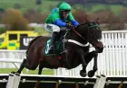 Old Park Star favoured despite market doubts as panel splits on Supreme Novices’ Hurdle