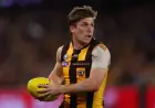 Dylan Moore Afl: Hawthorn Pair Spent a Night in Phoenix Jail After ‘Foolish’ Trespassing