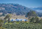 Mudgee Corridor Shake-up: Rylstone Olive Press Hits Market with $6.5m Price Tag