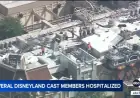 Hazmat Incident at Disneyland Hospitalizes Five Cast Members