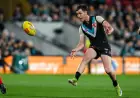 Afl Fantasy kicks off R1: rookies, must-haves revealed