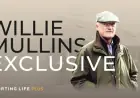 Bambino Fever Horse vs. Willie Mullins Runners: Betting panic or measured form test
