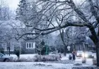 Ice Storm School Closures Signal Widespread Power Outages in Quebec