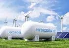 Namibia’s coastal communities and succulents brace as Hydrogen project advances