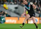Nick Watson earns praise while banners highlight Hawthorn–Essendon rivalry contradictions