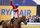 Envoi Allen Horse dies after Gold Cup; readiness claim meets unanswered gaps