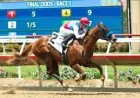 What Is The Triple Crown: Virginia Derby at Colonial Downs Sparks Kentucky Derby Points Race