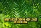 Gudi Padwa 2026: Discover Why Neem Leaves are Eaten on Hindu New Year