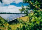 Low Carbon Secures 240 MW Solar Projects in the UK