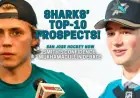 Top 10 Sharks Prospects: Smith’s Confidence and Mukhamadullin Discussion
