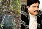 Dawood Ibrahim Properties Successfully Auctioned in Ratnagiri After Long Delays