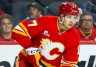 Panthers vs Flames: NHL Game Prediction, Picks, and Odds for Tonight