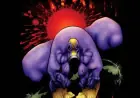 Sam Kieth, ‘The Sandman’ Co-Creator and ‘The Maxx’ Creator, Dies at 63