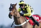 Star Hurdler Sir Gino Euthanized, Confirms Trainer Nicky Henderson