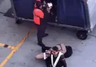 Viral Video Criticizes Baggage Handler for Mishandling Guitars on Tarmac
