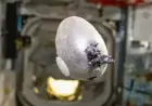 NASA Astronaut Cultivates Purple Potato on ISS, Sparks Internet Frenzy