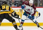 Avalanche Secure Redemption Against Penguins