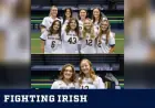 Irish to Host Cal on Senior Day Showdown