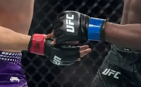 UFC Mexico: Predictions & Odds for Damian Pinas vs. Wes Schultz