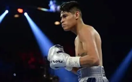Navarrete Vs Nunez — navarrete vs nunez: Expert picks and card preview