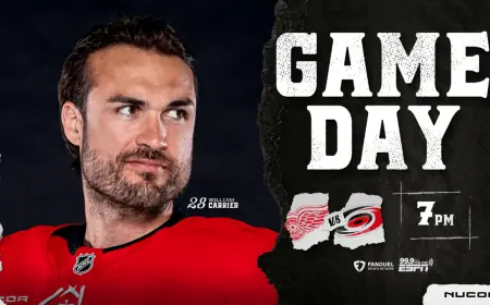 Preview: Red Wings Vs Hurricanes at Lenovo Center on Feb. 28