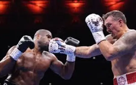 Usyk to Defend WBC Title Against Rico Verhoeven at Pyramids of Giza in Egypt