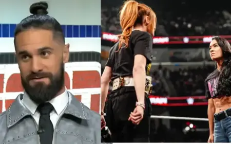 Seth Rollins Praises Becky Lynch vs. AJ Lee: ‘She’s Locked and Rocked’