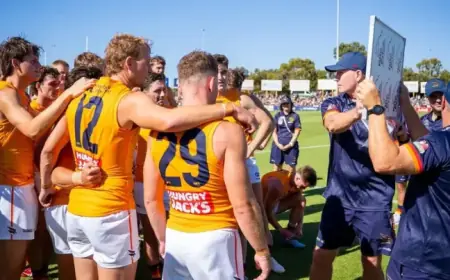 Adelaide Crows Video Hub: Latest Highlights and Clips