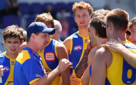 Eagles Face Power in Final Pre-Season Clash: Live Updates