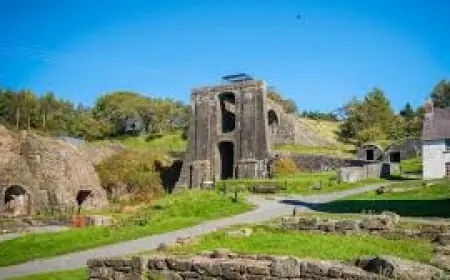 St. David's Day plans reshape weekend life for communities — big parades in St Davids and local concerts across the West Midlands