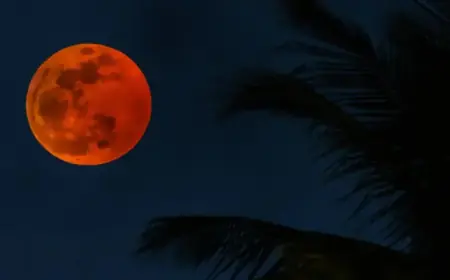 Blood Moon 2026: Witness the Last Eclipse Before 2029