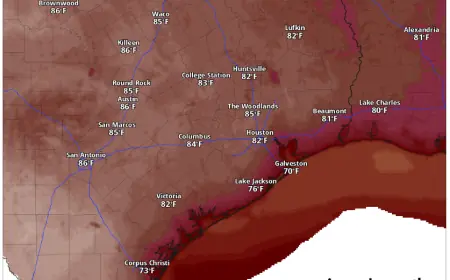 Kxan News: February Ties Austin Record with 12 Days of 80-Degree Heat as Warm Pattern Holds