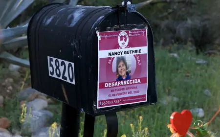 Nancy Guthrie Update Today March 1, 2026: Day 29, Home Returned to Family, $1 Million Reward, No Arrest