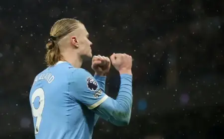 Erling Haaland Leads Premier League Scorers, Viktor Gyökeres Surprises