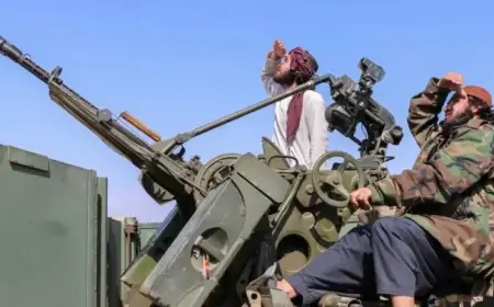 Pakistan and Afghanistan’s Complicated Conflict: Expert Calls It a Historical Irony