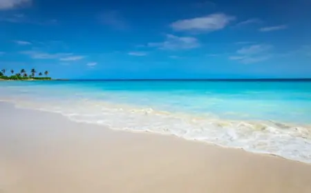 LIAT Air Connects Guadeloupe, Antigua, and Jamaica Starting May 2026