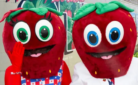 Strawberry Festival 2026 Season Arrives, With Bigger Crowds, Higher Costs, and a Growing Tug-of-War Over What These Events Are For